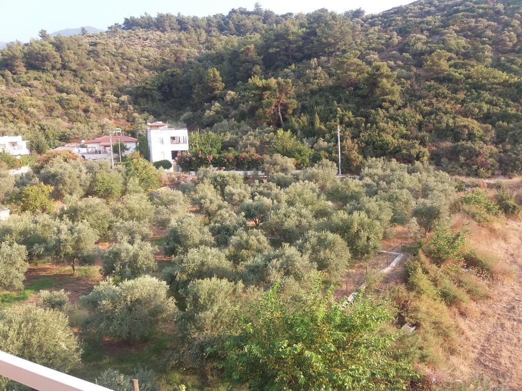 Zeus Apart Pansiyon Guzelcamlı Exterior foto
